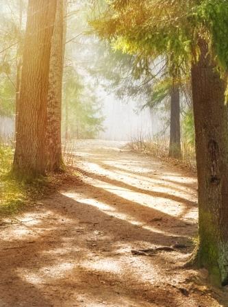Personal counseling in Pleasanton on life changes stress management counseling Pleasanton