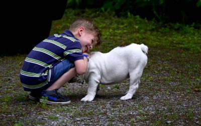 Raising Compassionate Boy’s