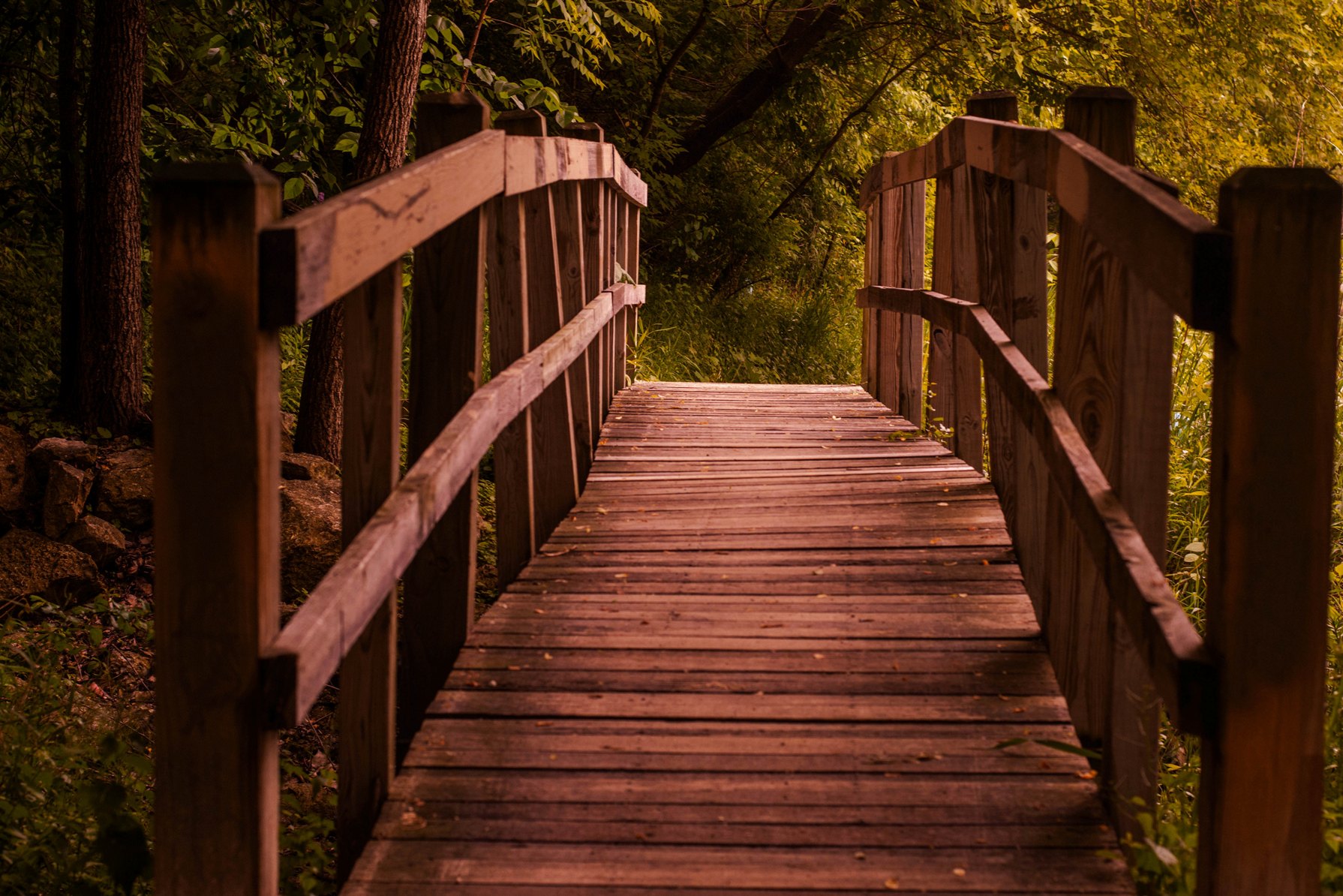 Mental wellness note from Family counselor in Pleasanton