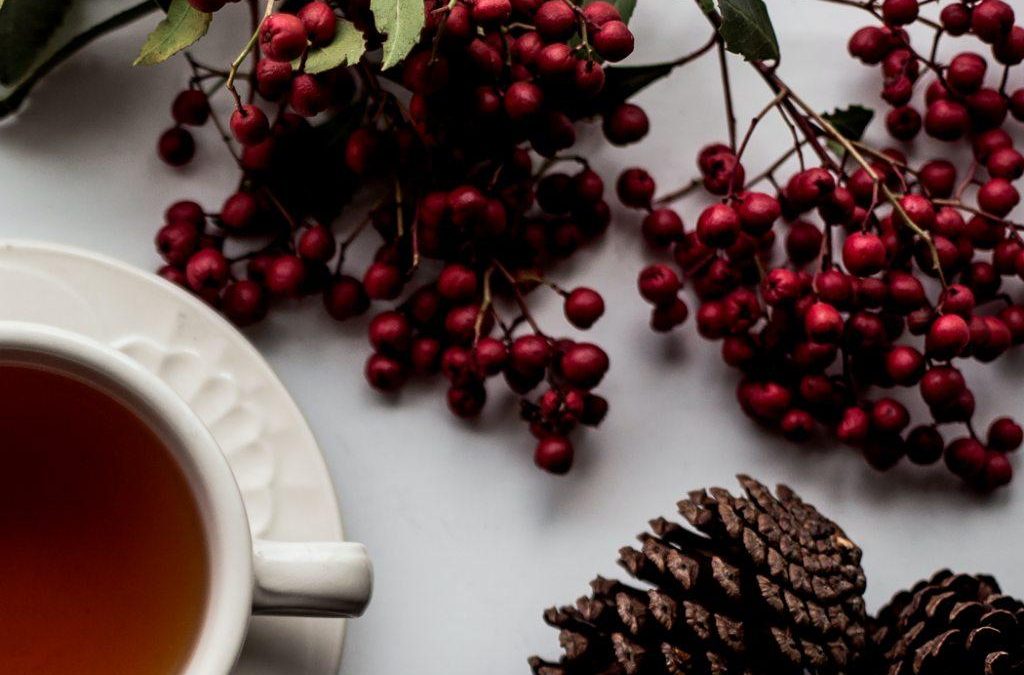 Changing my Thoughts for the Holidays