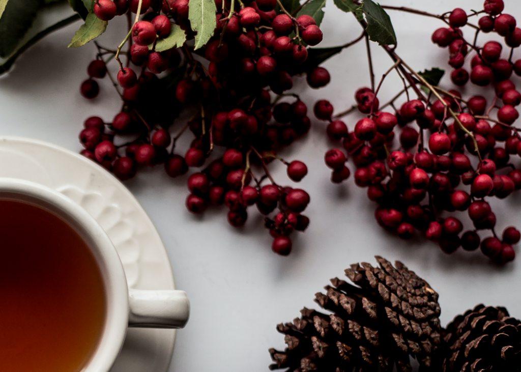 critical behavioral therapy for the holidays critical behavioral therapy for the holidays